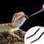 ZenPets Ensemble de pinces pour alimentation de reptiles