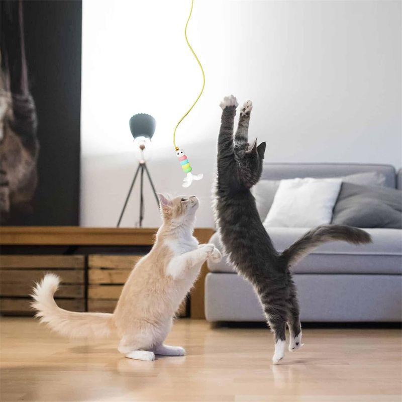 IntiMeg Jouet électrique suspendu pour chat