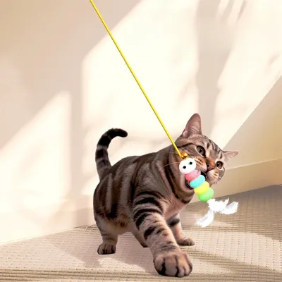 IntiMeg Jouet électrique suspendu pour chat