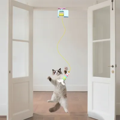 IntiMeg Jouet électrique suspendu pour chat