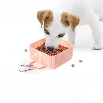 ZooVenture Tapis de voyage pliable en silicone