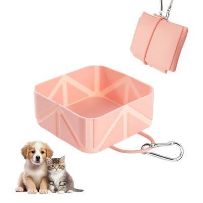 ZooVenture Tapis de voyage pliable en silicone