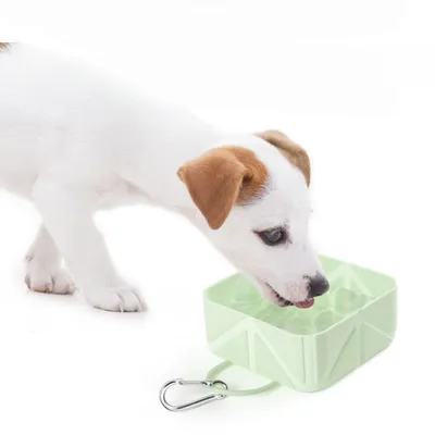 ZooVenture Tapis de voyage pliable en silicone