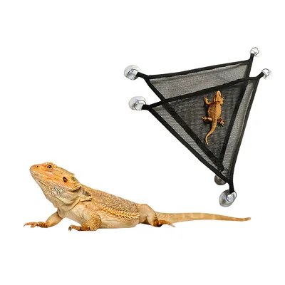 IntiMeg Hamac pour lézard et reptiles