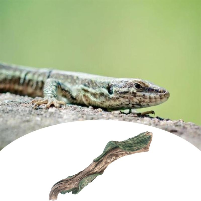 IntiMeg Branche d'escalade pour reptiles