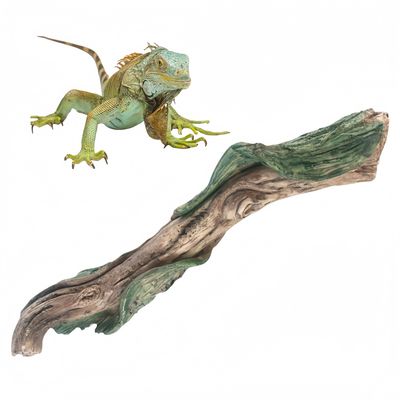 IntiMeg Branche d'escalade pour reptiles