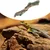 IntiMeg Branche - Branche d'escalade en résine pour reptiles