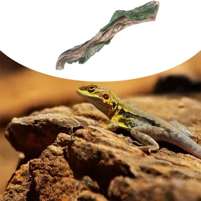 IntiMeg Branche - Branche d'escalade en résine pour reptiles