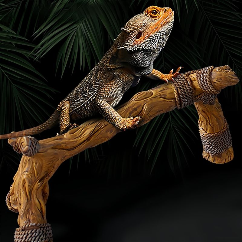 IntiMeg Branches de décoration pour terrarium de reptiles