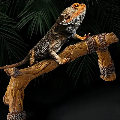 IntiMeg Branches de décoration pour terrarium de reptiles