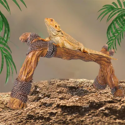 IntiMeg Branches de décoration pour terrarium de reptiles