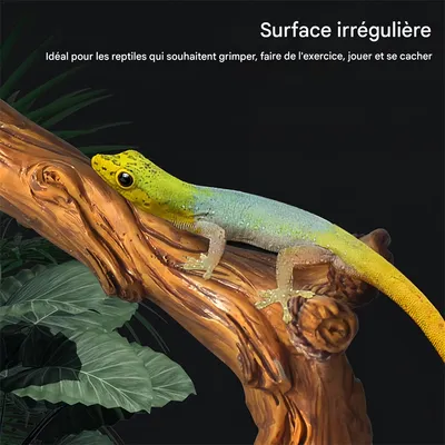 IntiMeg Branches de décoration pour terrarium de reptiles