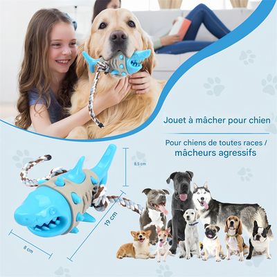 IntiMeg Jouet à Mâcher Dentaire Requin pour Chien