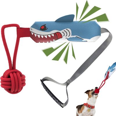 IntiMeg Jouet interactif avec son pour chien