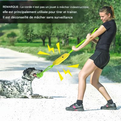 IntiMeg Jouet interactif avec son pour chien