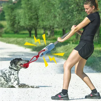IntiMeg Interaktives Spielzeug mit Sound für Hunde