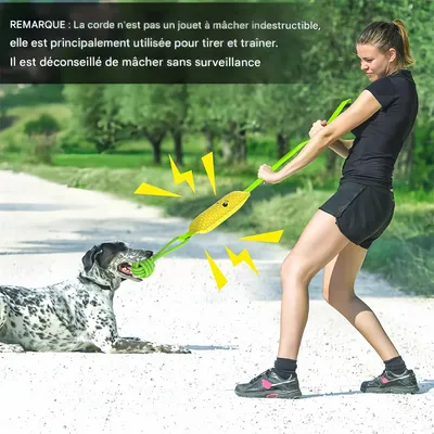 IntiMeg Interaktives Spielzeug mit Sound für Hunde