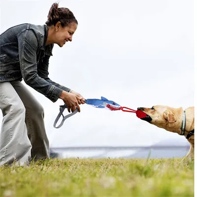 IntiMeg Interaktives Spielzeug mit Sound für Hunde