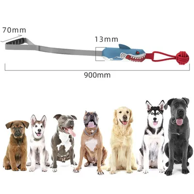 IntiMeg Interaktives Spielzeug mit Sound für Hunde