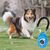 UAMLY Clickers de dressage de chiens