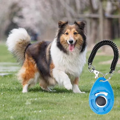 UAMLY Clickers de dressage de chiens