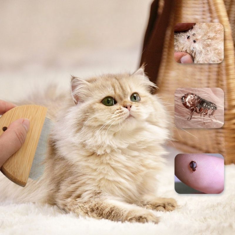 ZenPets Peigne de toilettage pour animaux