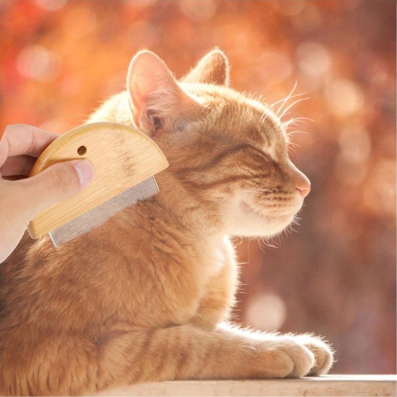 ZenPets Peigne de toilettage pour animaux