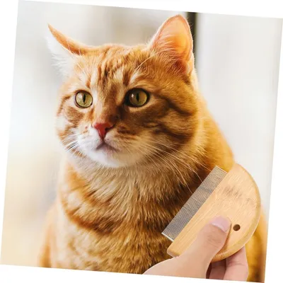 ZenPets Peigne de toilettage pour animaux ZenPets Peigne de toilettage pour animaux
