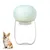 ZenPets Bouteille d'eau pour chien