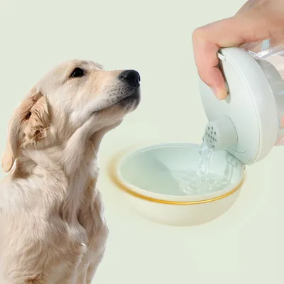 ZenPets Bouteille d'eau pour chien