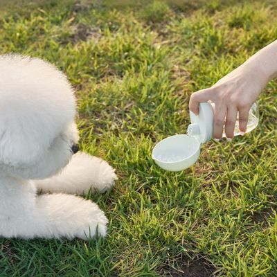 ZenPets Bouteille d'eau pour chien
