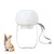 ZenPets Bouteille d'eau pour chien