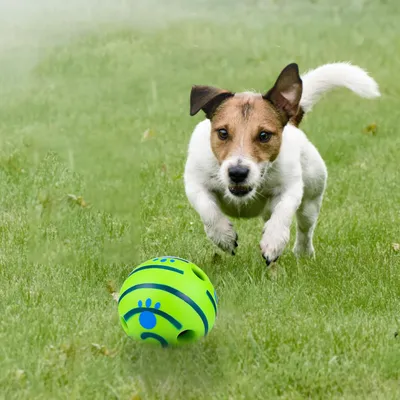 UAMLY Balle jouet d'auto-divertissement pour chien