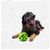 UAMLY Balle jouet d'auto-divertissement pour chien