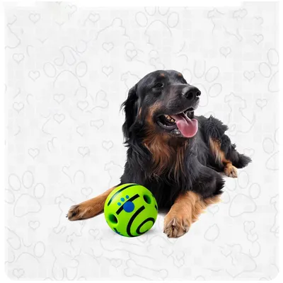 UAMLY Balle jouet d'auto-divertissement pour chien