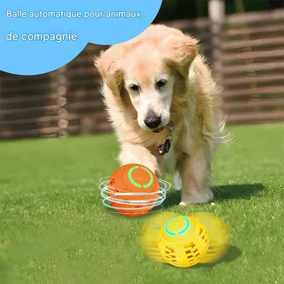 LED Jouet Intelligent Interactif pour Chien