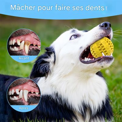 LED Jouet Intelligent Interactif pour Chien