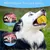 LED Jouet Intelligent Interactif pour Chien