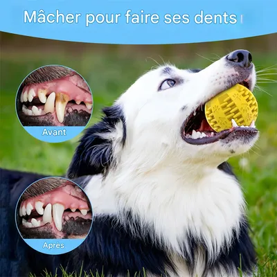 LED Jouet Intelligent Interactif pour Chien
