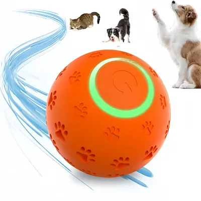 LED Jouet Intelligent Interactif pour Chien