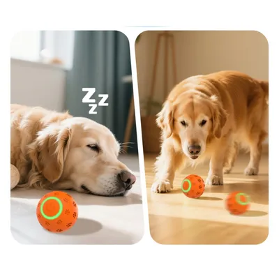 LED Jouet Intelligent Interactif pour Chien