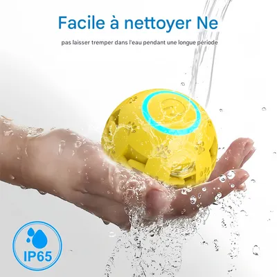 LED Jouet Intelligent Interactif pour Chien