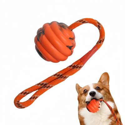 FurryFusion Balle en caoutchouc pour chien