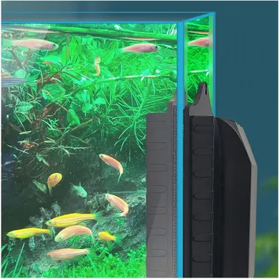 ZooVenture Brosse Magnétique Pour Verre D'Aquarium