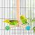 ZooVenture Jouet Perchoir Rotatif En Bois Naturel Pour Oiseaux