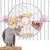 ZooVenture Distributeur Rotatif Et Jouet Pour Oiseaux ZooVenture Distributeur Rotatif Et Jouet Pour Oiseaux