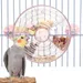 ZooVenture Distributeur Rotatif Et Jouet Pour Oiseaux