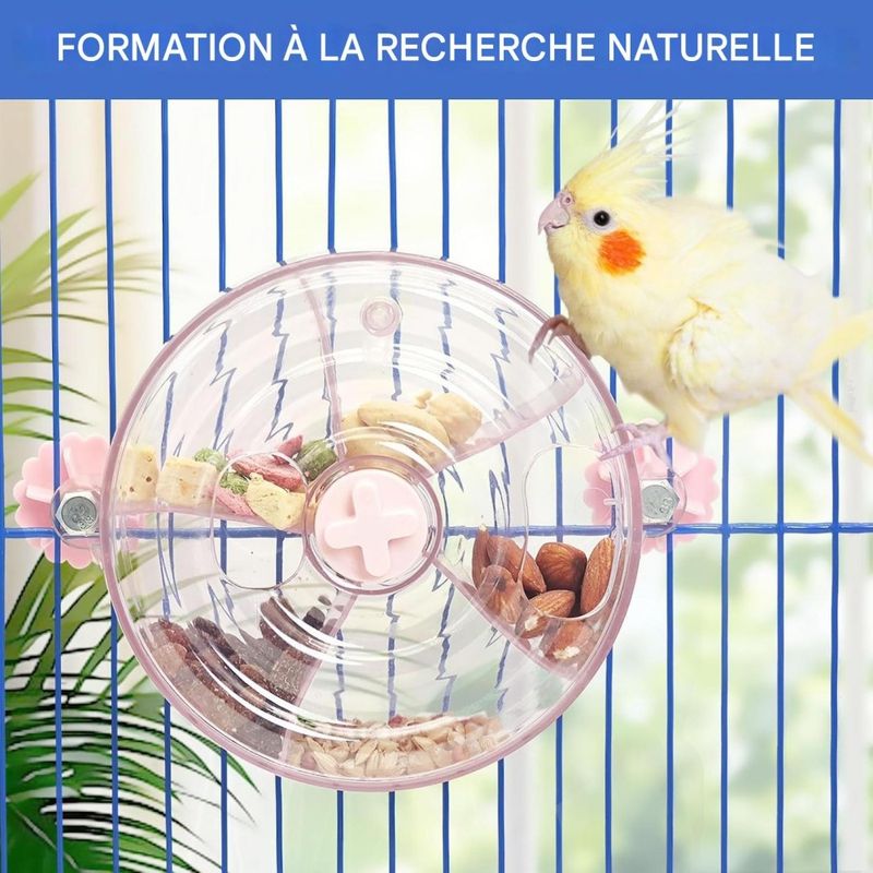 ZooVenture Distributeur Rotatif Et Jouet Pour Oiseaux