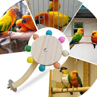 ZooVenture Percha de madera para pájaros con escalera y juguete giratorio