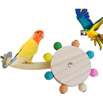 ZooVenture Percha de madera para pájaros con escalera y juguete giratorio